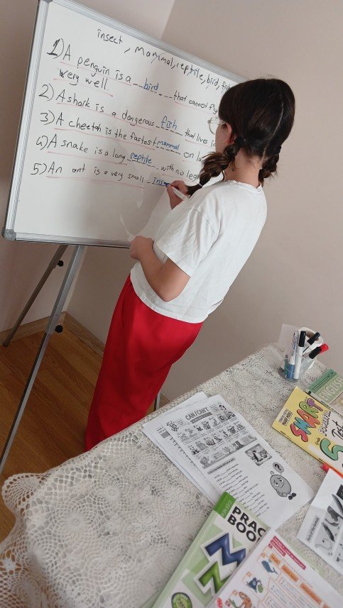 Tülay Meniz