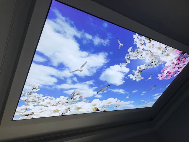 Denizli Pak Gergi Tavan 