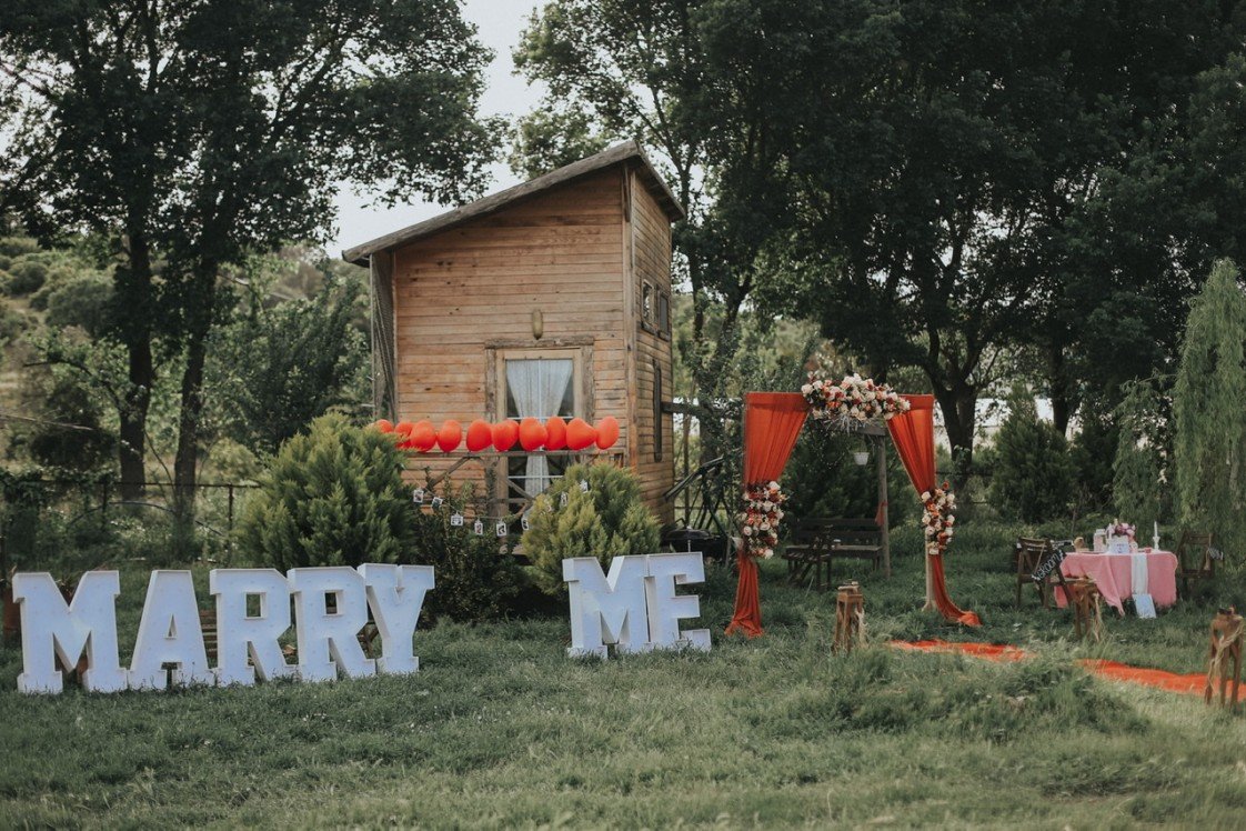 Viva La Vida Organizasyon