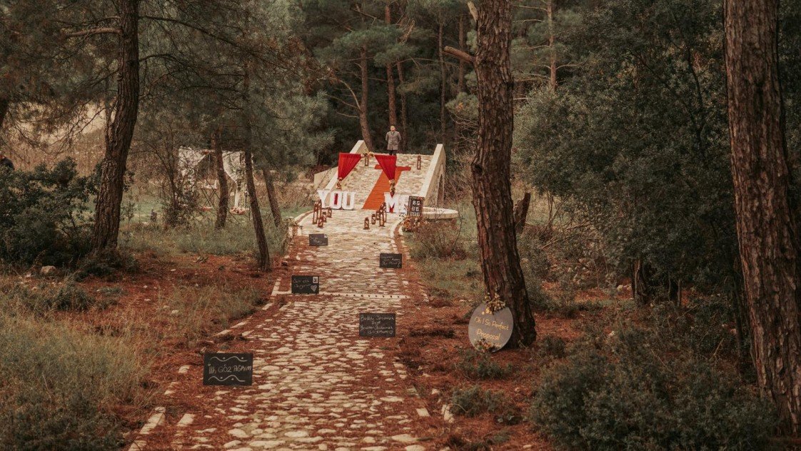 Viva La Vida Organizasyon