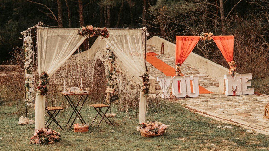 Viva La Vida Organizasyon