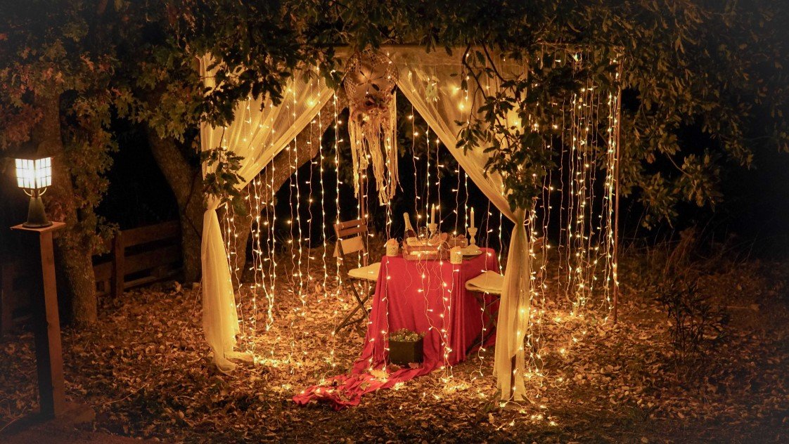 Viva La Vida Organizasyon