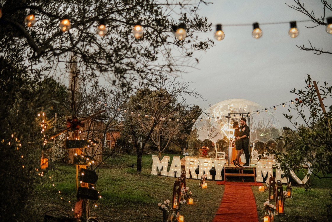 Viva La Vida Organizasyon