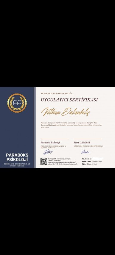 Volkan Dalankılıç