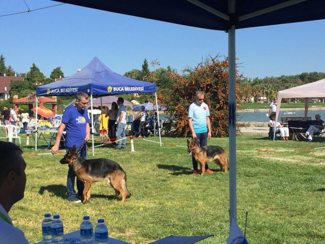 Von Nomadum Köpek Okulu