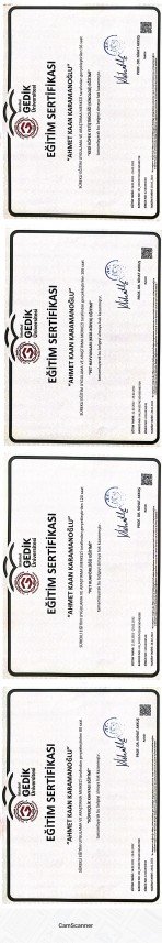 Von Nomadum Köpek Okulu