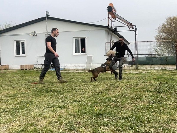 Yiğit Sadettin Fırtına