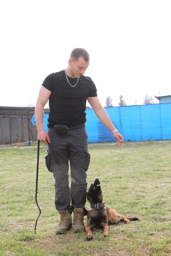 Yiğit Sadettin Fırtına