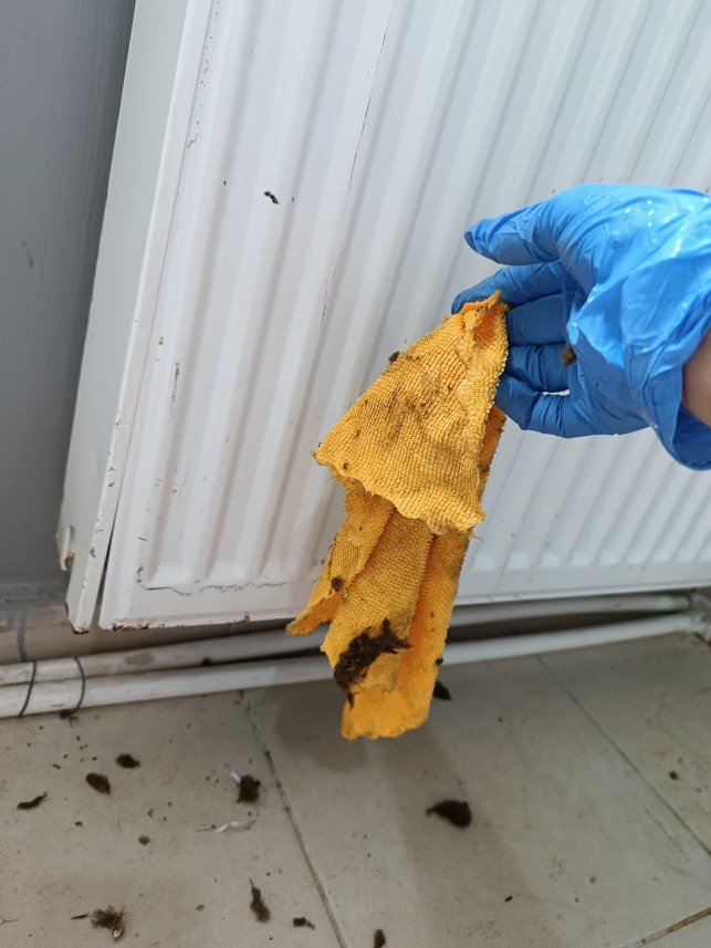 Yıldız  Sandıkçı