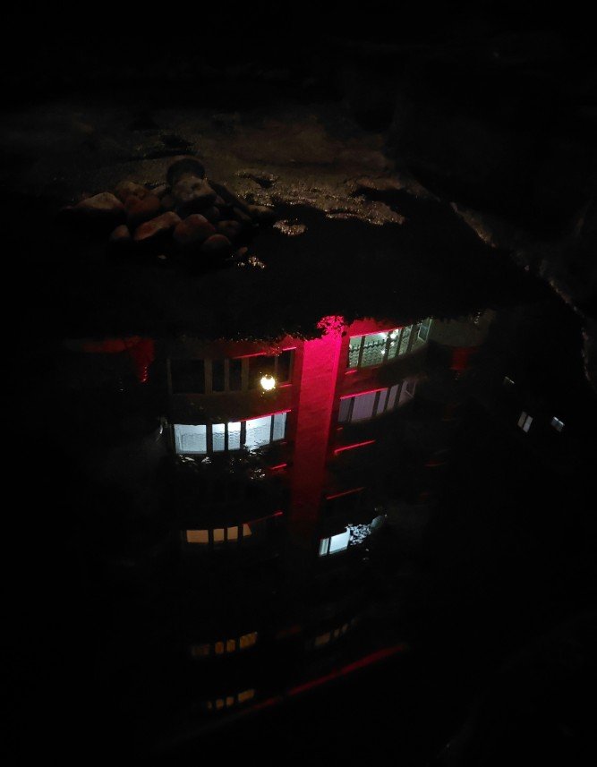 Yusuf Fatih Tiryakioğlu