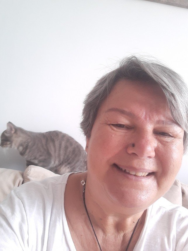 Zehroş Kedi Pansiyon