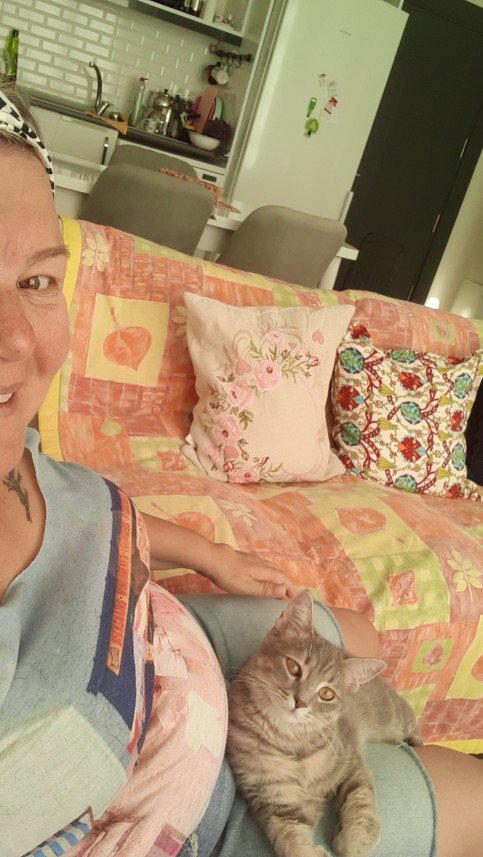 Zehroş Kedi Pansiyon