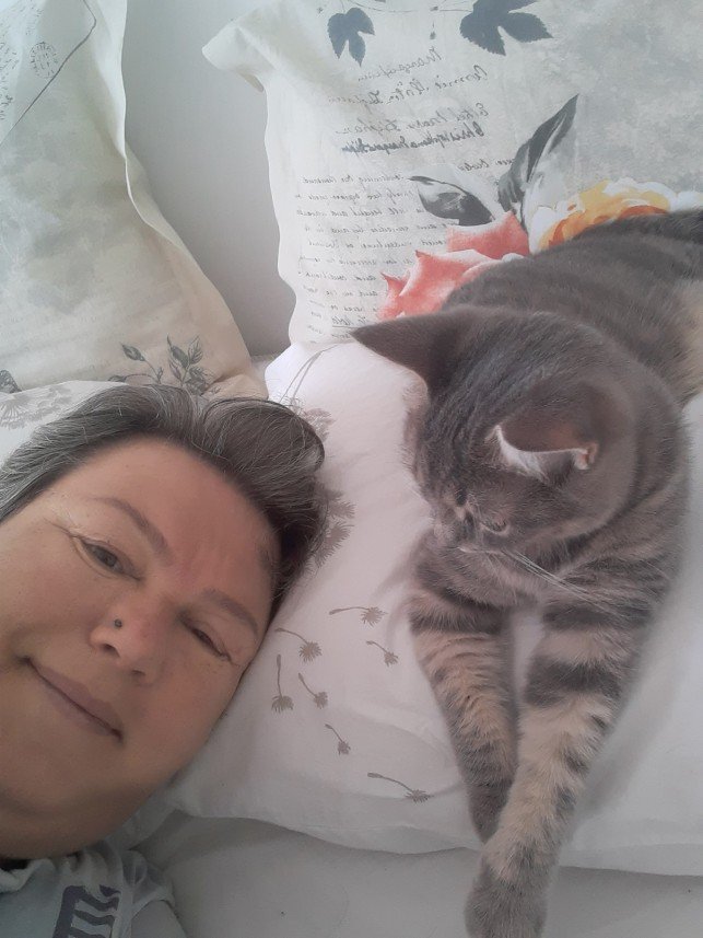 Zehroş Kedi Pansiyon