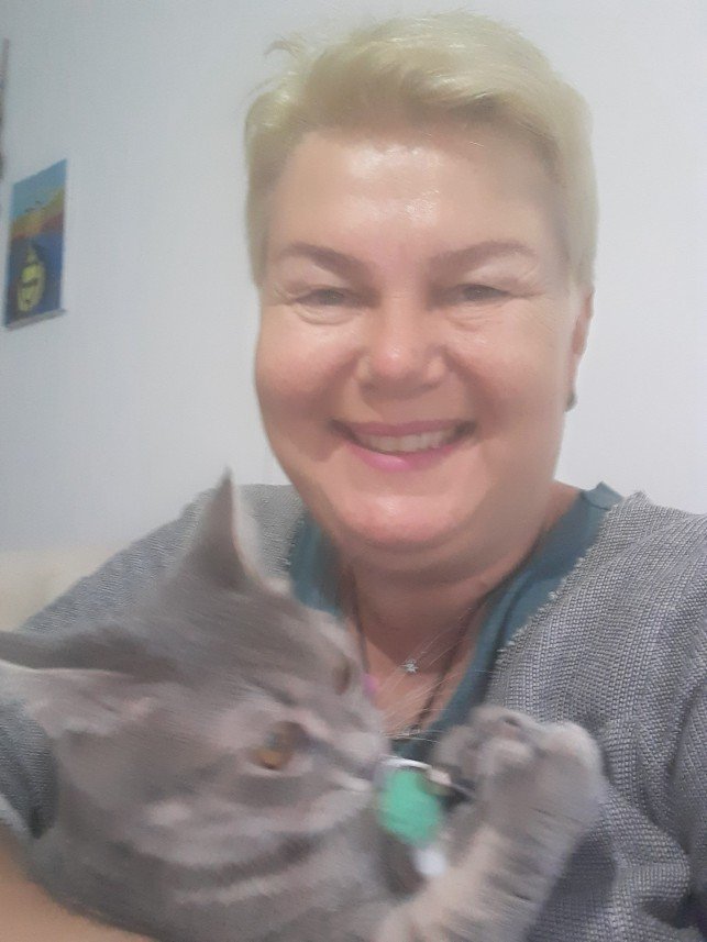 Zehroş Kedi Pansiyon