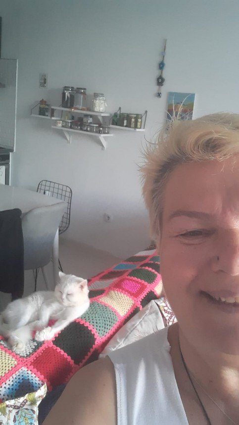 Zehroş Kedi Pansiyon