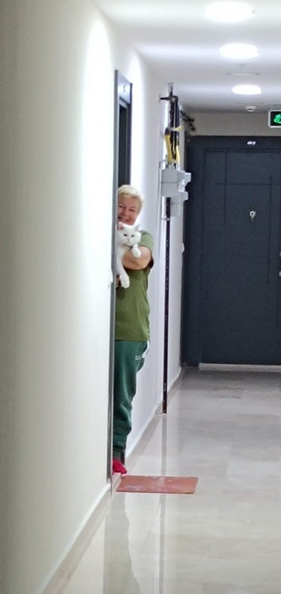 Zehroş Kedi Pansiyon