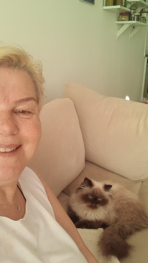 Zehroş Kedi Pansiyon