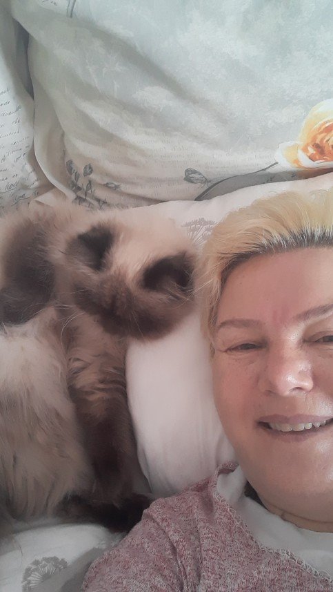 Zehroş Kedi Pansiyon