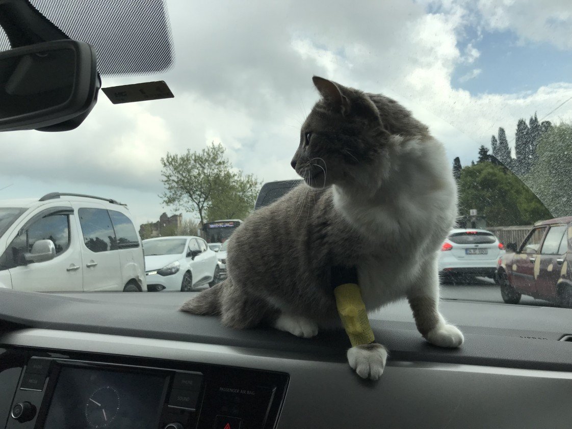 Zehra Atıcı Birgül