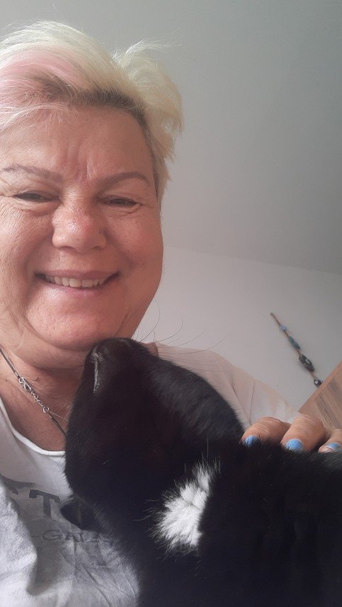 Zehroş Kedi Pansiyon