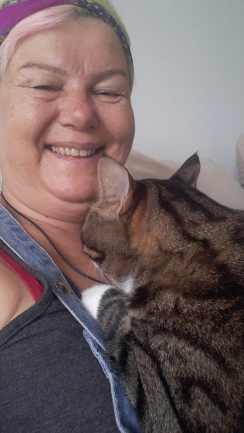 Zehroş Kedi Pansiyon