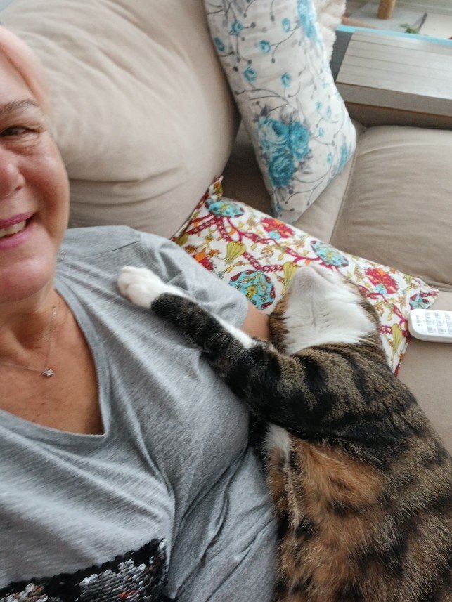 Zehroş Kedi Pansiyon