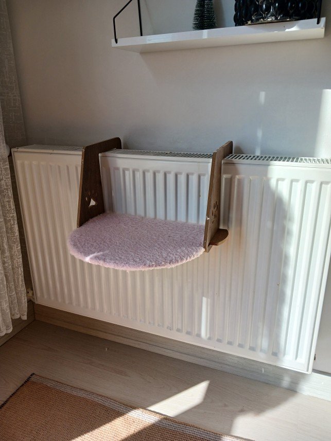 Zehroş Kedi Pansiyon