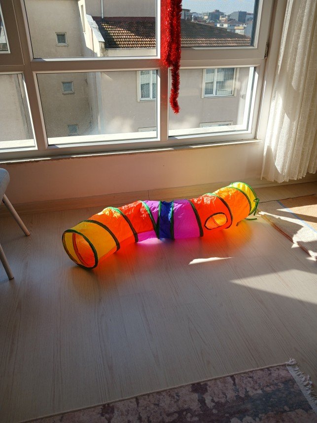 Zehroş Kedi Pansiyon