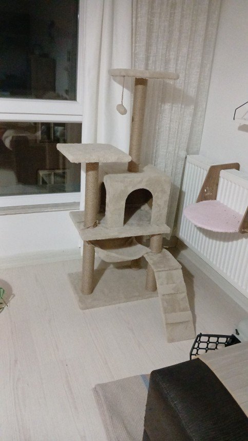 Zehroş Kedi Pansiyon