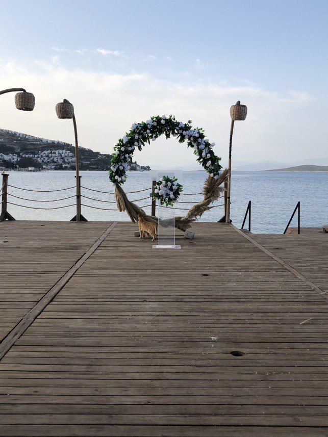 Zena Organizasyon Bodrum