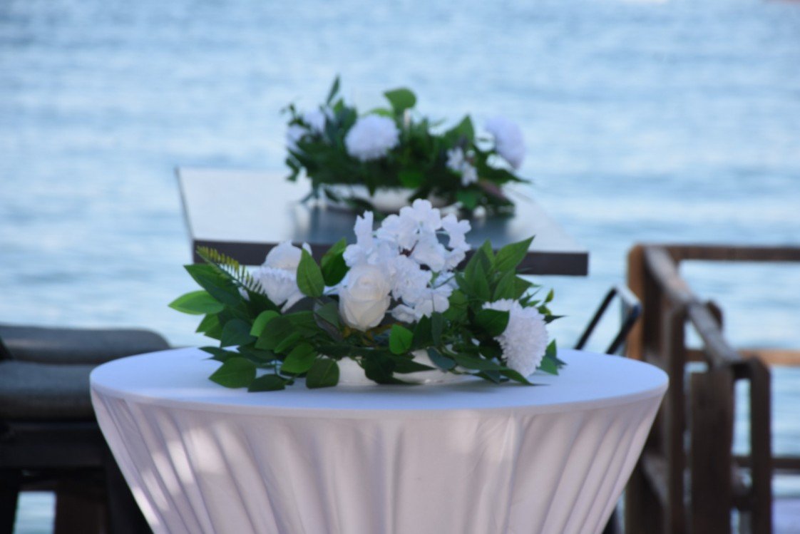 Zena Organizasyon Bodrum