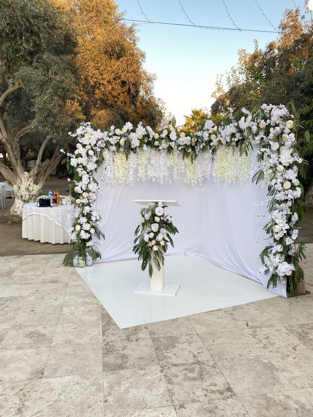 Zena Organizasyon Bodrum