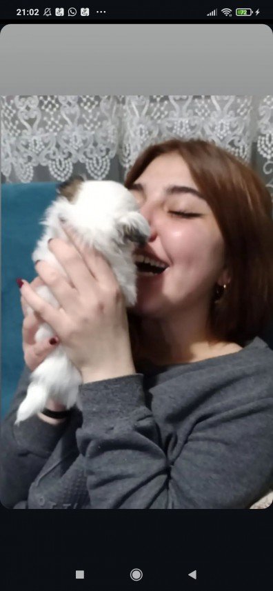 Zeynep Deniz Yıldırım