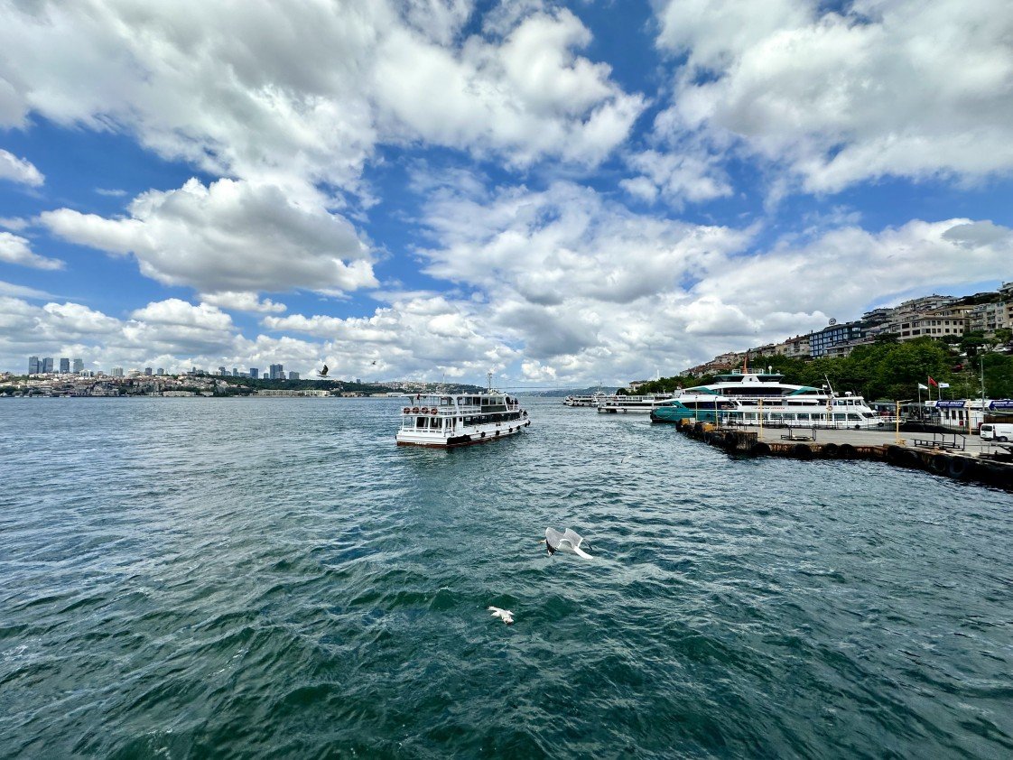 Şen Fotoğrafçılık