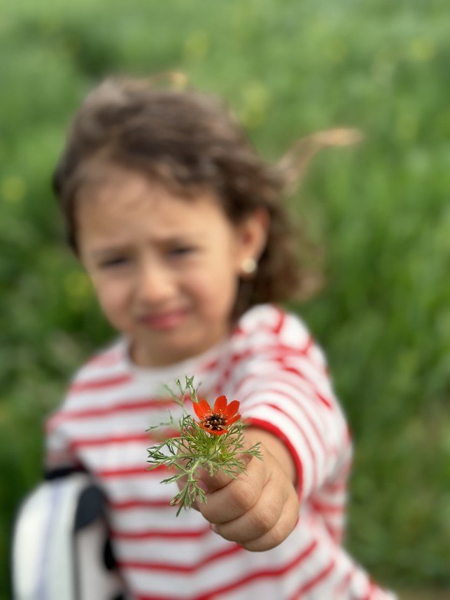 Şen Fotoğrafçılık