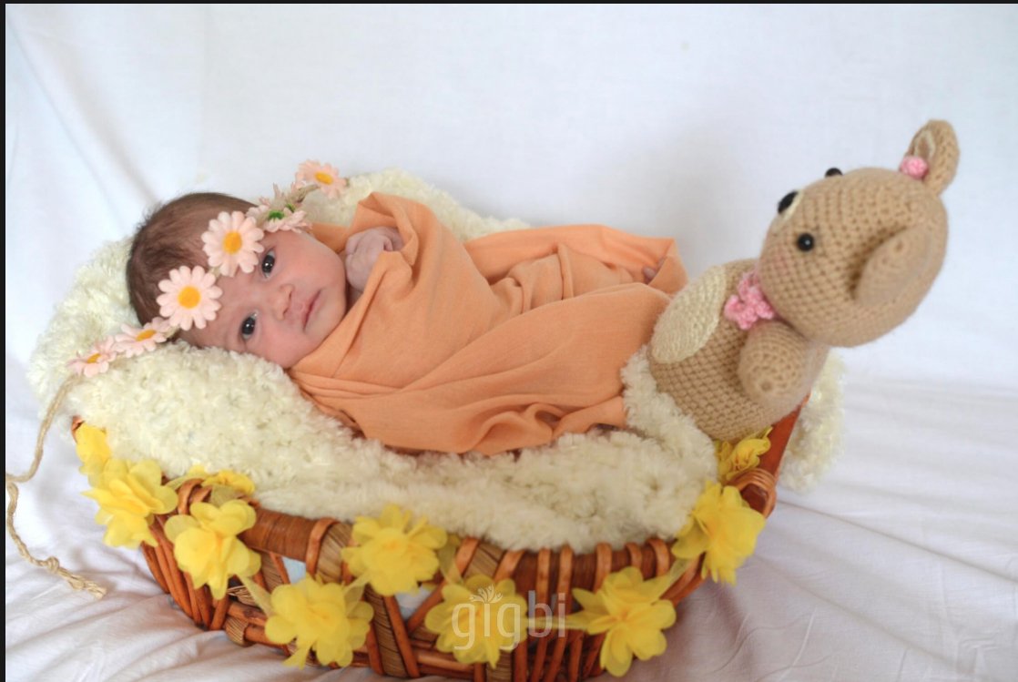 Özkan Dilmen Fotoğraf