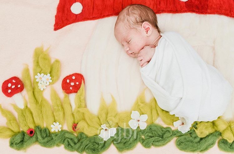 Özkan Güngörmez Photography