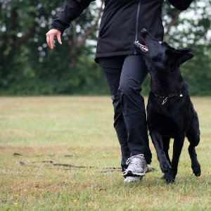 Pati Eğitim Merkezi