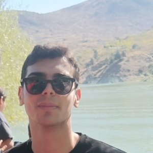 Ahmet Furkan Sevgili