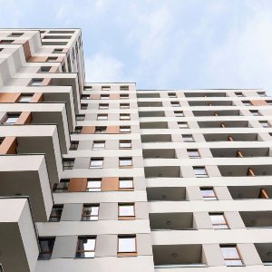 Altın Fırça Boya & Dekorasyon 