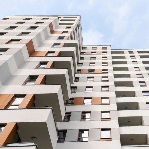 Altın Fırça Boya & Dekorasyon 