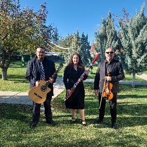 Altona Sanat Organizasyon