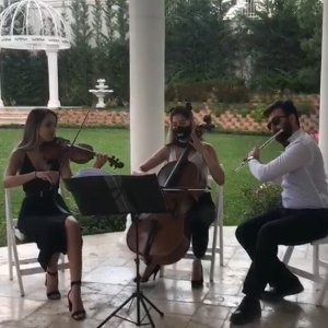 Ankara Balkan Bandosu