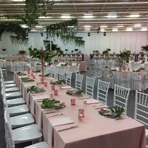 Beyoğlu Organizasyon Antalya