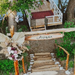 Aşiyan Plato Organizasyon