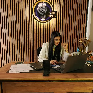 Aslan Temizlik Hizmetleri