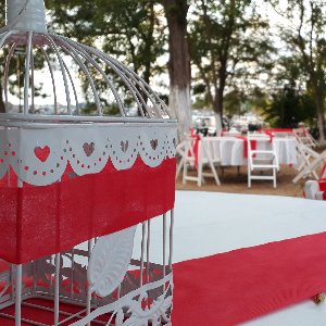 Amaç Vural Organizasyon