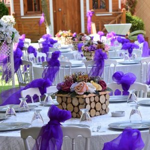 Ayşe Sultan Kır Düğünü