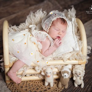 Ayşegül Dinç Tütüncü