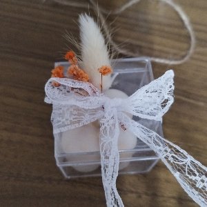 Ayşegül  Kömürcü